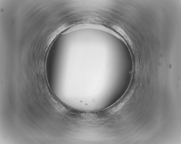 X0000087751089200705211031