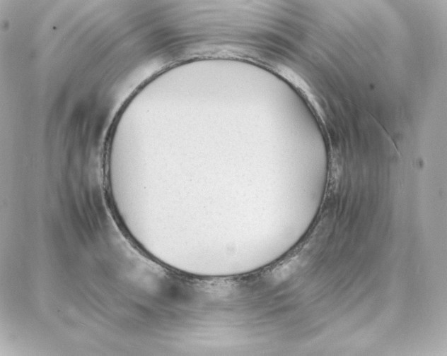 X0000087751090200705211031