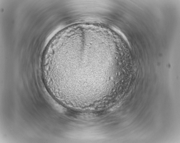 X0000087751091200705211031