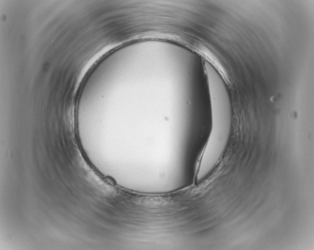 X0000087751092200705211031