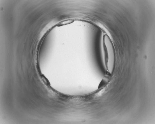 X0000087751093200705211031