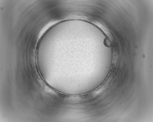 X0000087751094200705211031