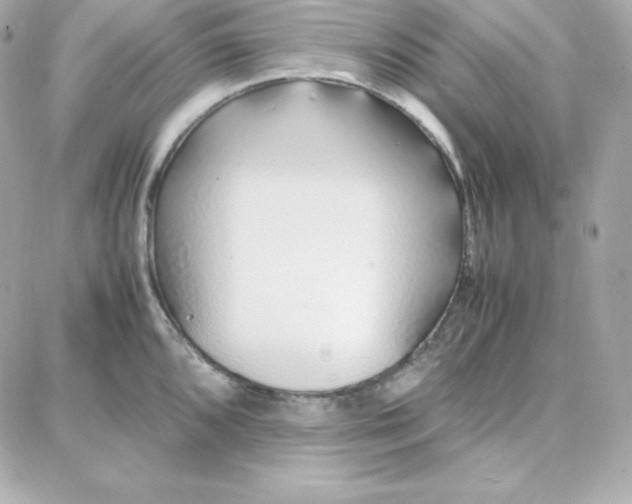 X0000087751096200705211031