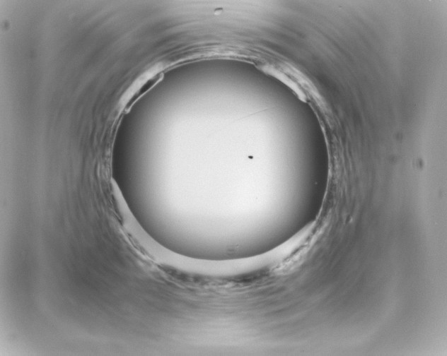 X0000087751097200705211031