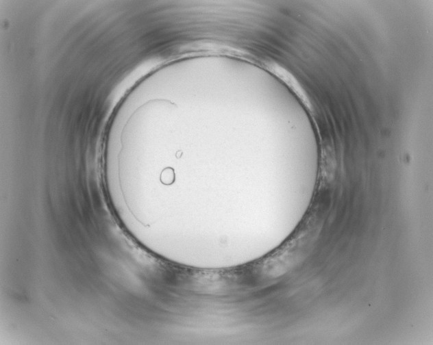 X0000087751098200705211031