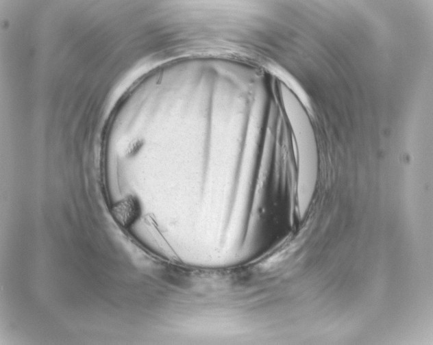 X0000087751099200705211031