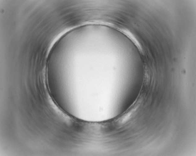 X0000087751100200705211031