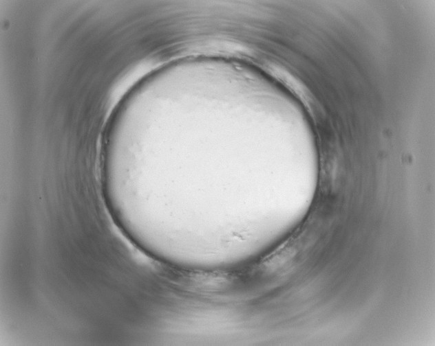 X0000087751103200705211031