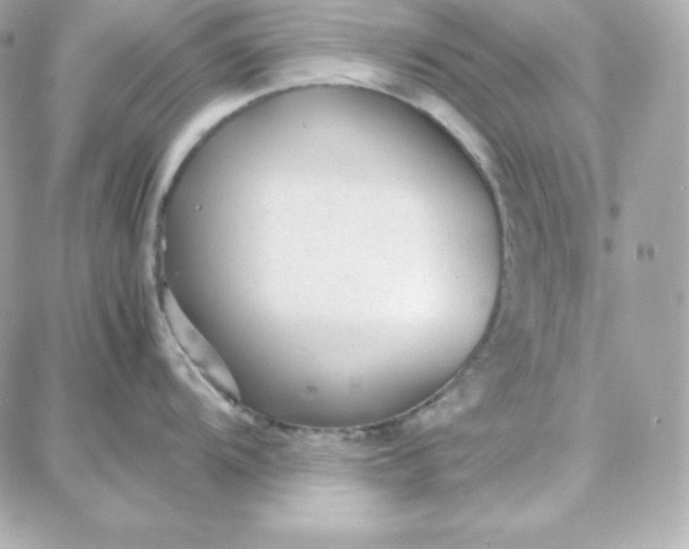 X0000087751104200705211031