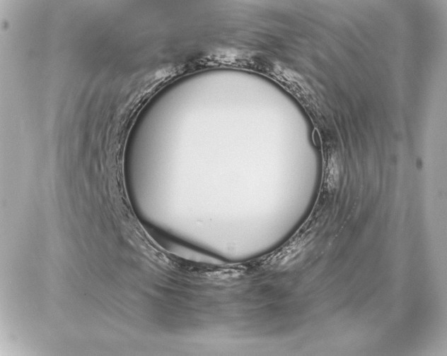 X0000087751105200705211030