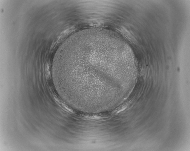 X0000087751106200705211030