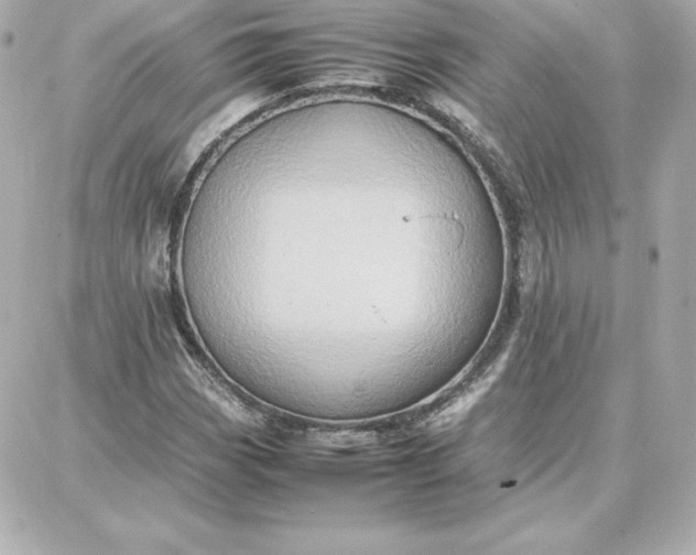 X0000087751113200705211030