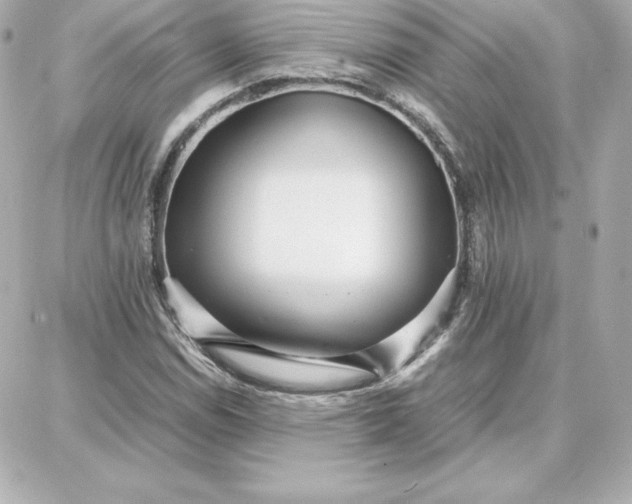 X0000087751114200705211030