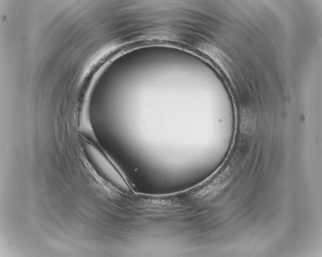 X0000087751115200705211030