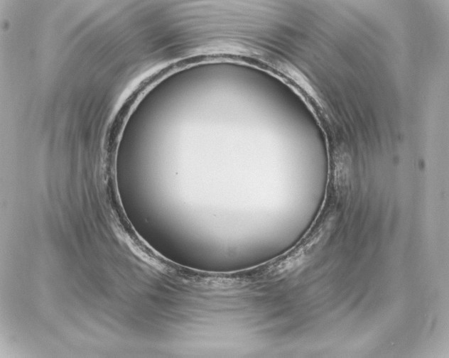 X0000087751116200705211030