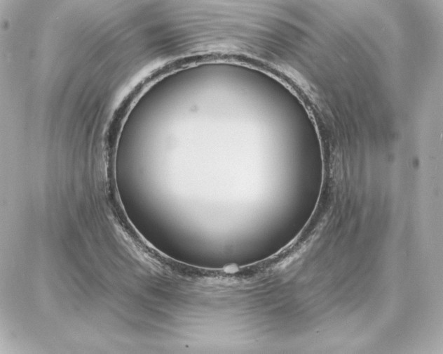 X0000087751118200705211030