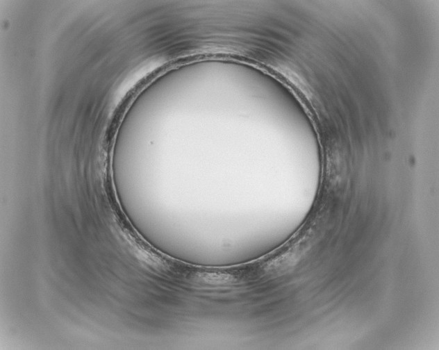 X0000087751119200705211030