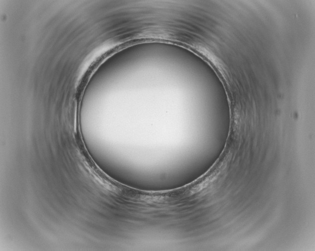 X0000087751123200705211030