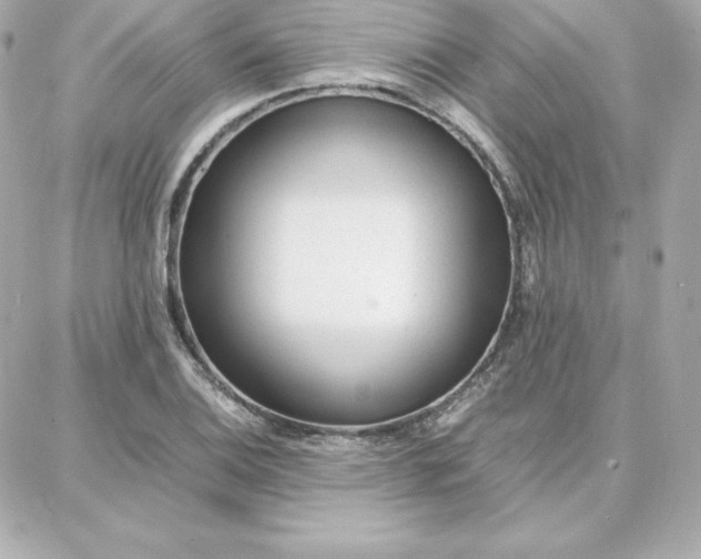 X0000087751124200705211030