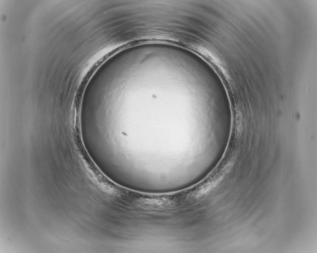 X0000087751125200705211030