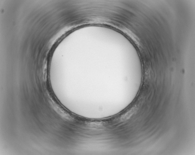 X0000087751126200705211030