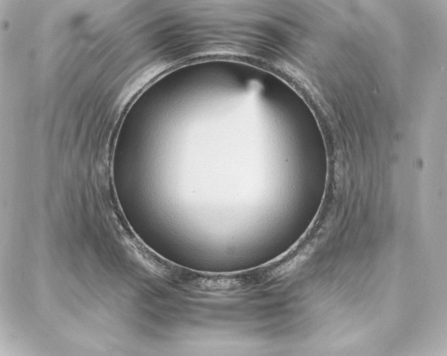 X0000087751129200705211030