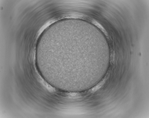 X0000087751130200705211030