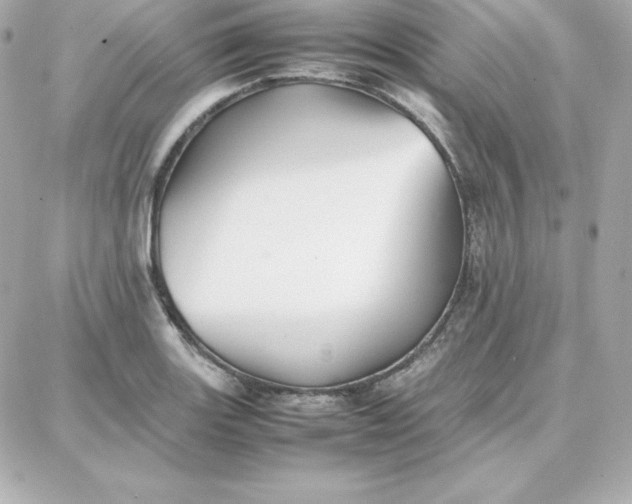 X0000087751131200705211030