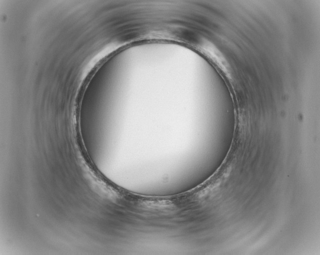 X0000087751133200705211031