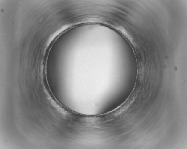 X0000087751134200705211031