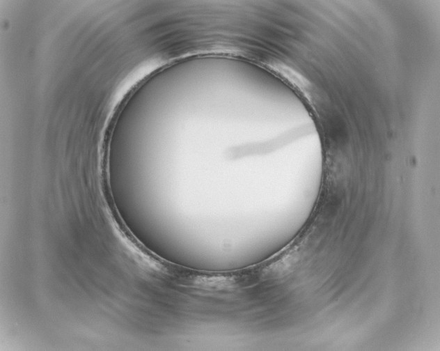 X0000087751135200705211031