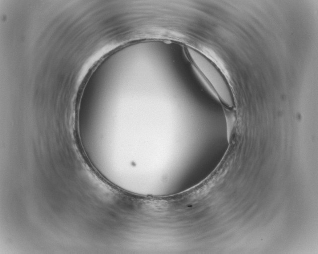 X0000087751136200705211031