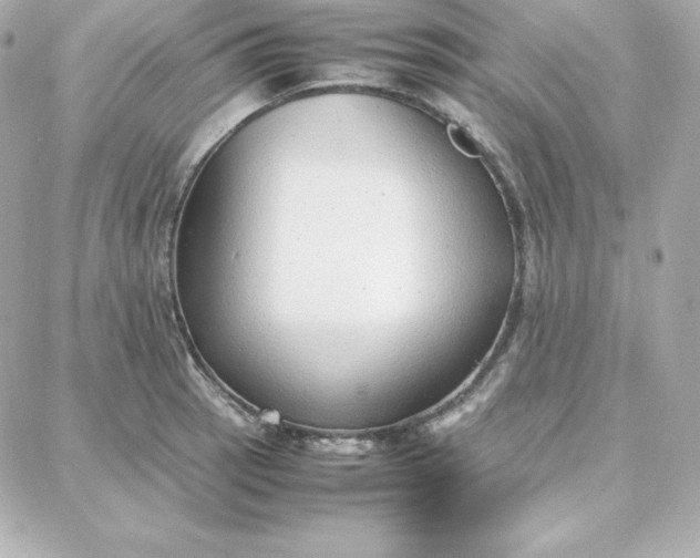 X0000087751137200705211031