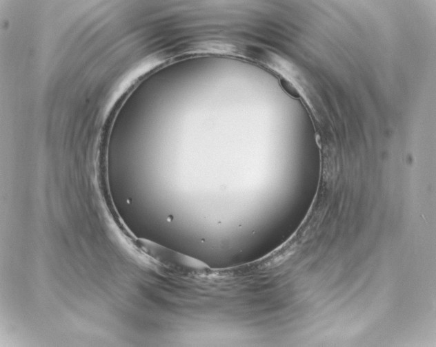 X0000087751139200705211031