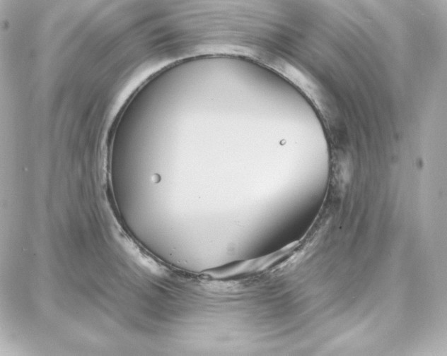 X0000087751140200705211031