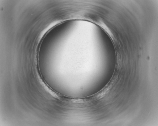 X0000087751142200705211031