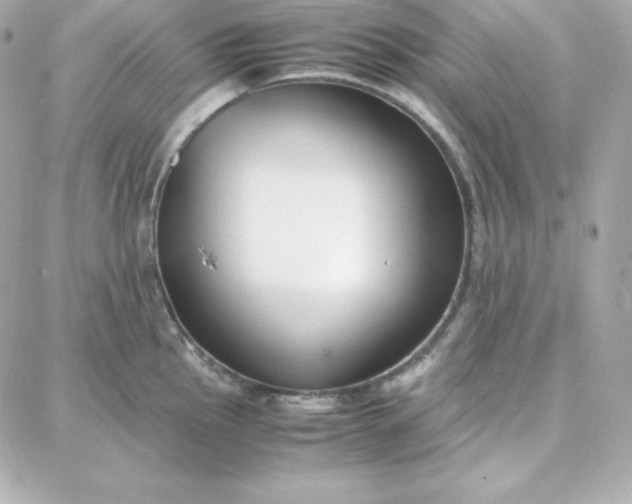 X0000087751145200705211031