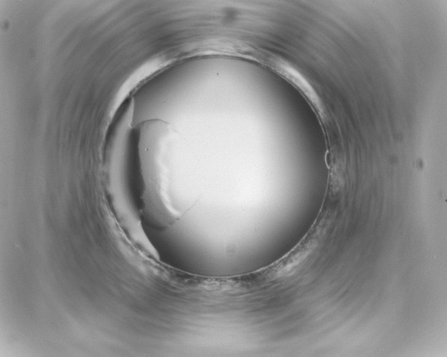 X0000087751146200705211031