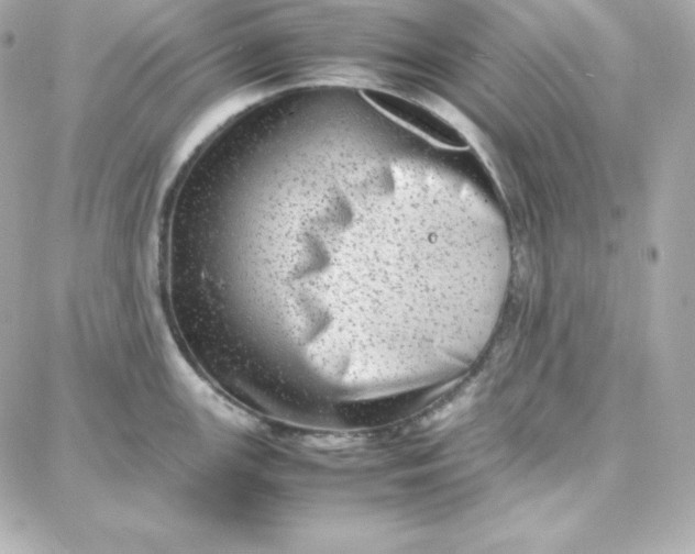 X0000087751147200705211031