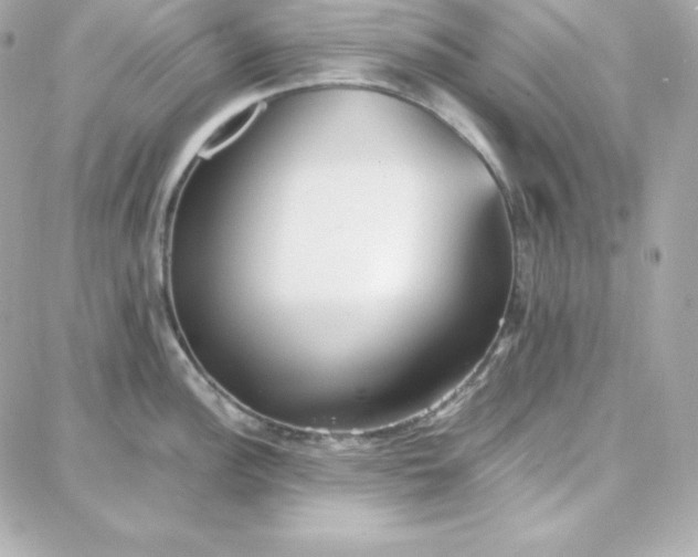 X0000087751148200705211031