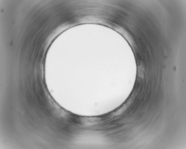 X0000087751150200705211031