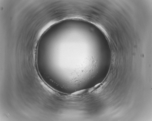 X0000087751151200705211031