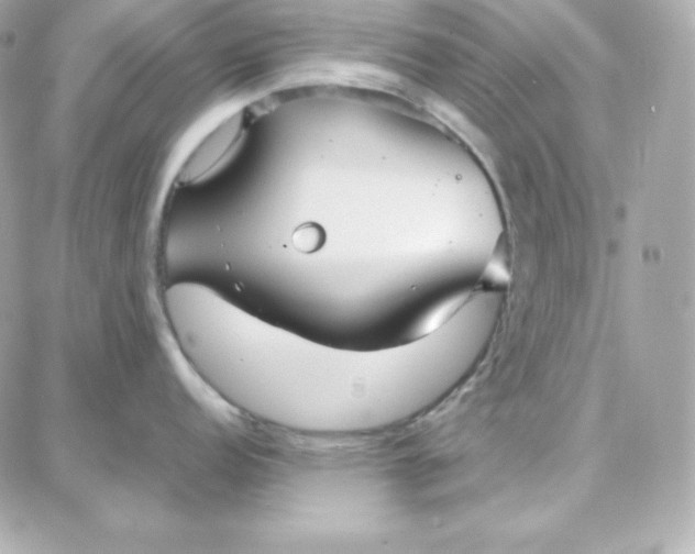 X0000087751152200705211031