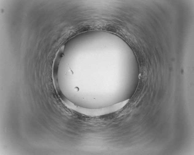 X0000087751153200705211030