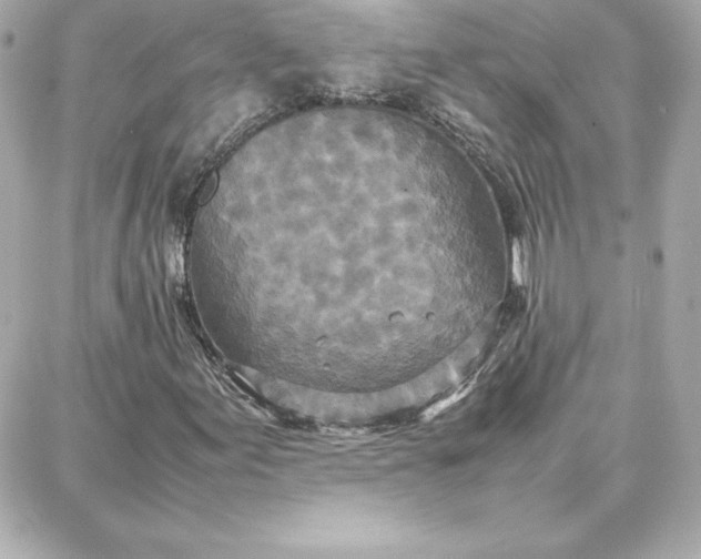 X0000087751155200705211030