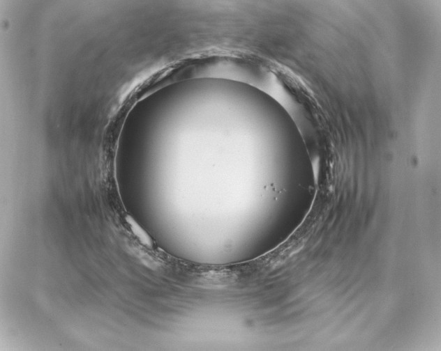 X0000087751160200705211030