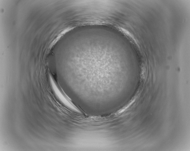 X0000087751161200705211030