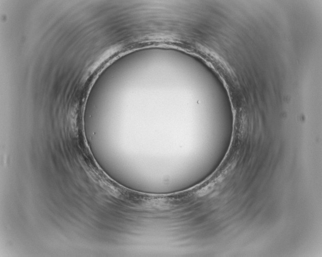 X0000087751162200705211030