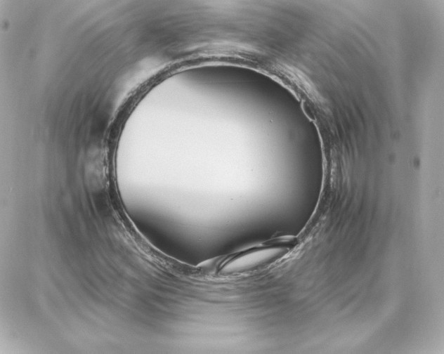 X0000087751164200705211030