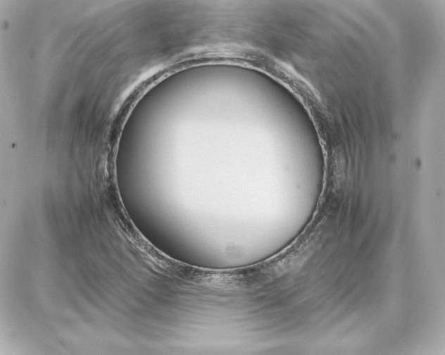 X0000087751166200705211030